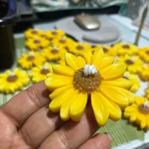 Inicio vela margarita